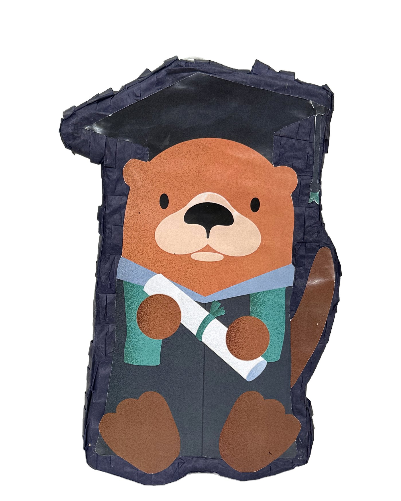Navy sea-otter piñata in a graduation cap holding a diploma